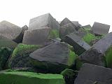 p1100015