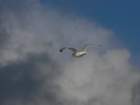 p1290043_small.jpg